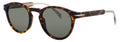 DAVID BECKHAM DAVID BECKHAM DB-1111/S-086/QT HAVANA