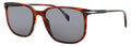 DAVID BECKHAM DAVID BECKHAM DB-1141/S-EX4/IR BROWN HORN
